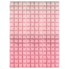 Backdrop Folieballong Rosa Ombre