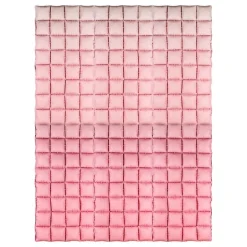 Backdrop Folieballong Rosa Ombre