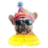 Bordsdekoration Party Hund
