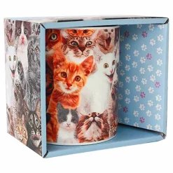 Crazy Cat Lady Mugg