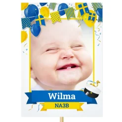 Designa Din Egen Studentskylt