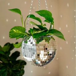 Discokula Blomkruka