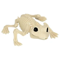 Djurskelett Groda Prop