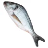 Fisk i Tyg