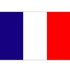 Flagga Frankrike