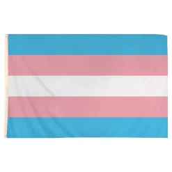 Flagga Transgender