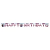 Frozen 2 Happy Birthday Banderoll