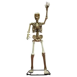 Gigantiskt Skelett Stående