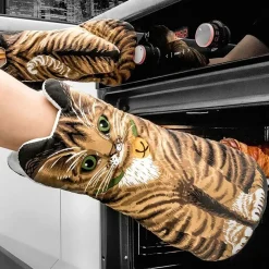 Grytvantar Katter