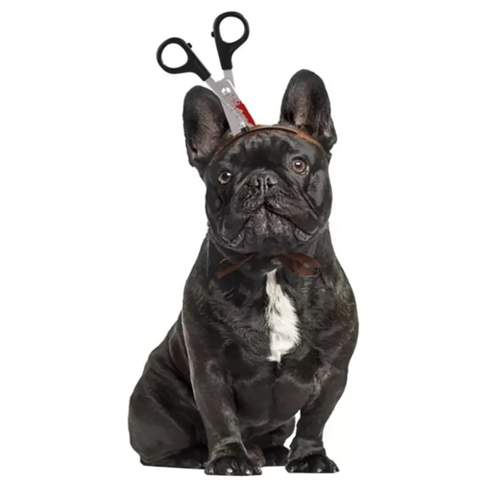 Halloween Props för Hund