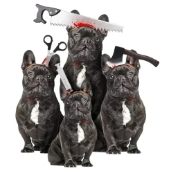 Halloween Props för Hund