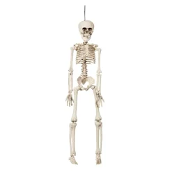 Hängande Böjbart Skelett Prop