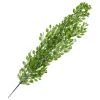 Hängande Blad Grön