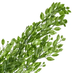 Hängande Blad Grön