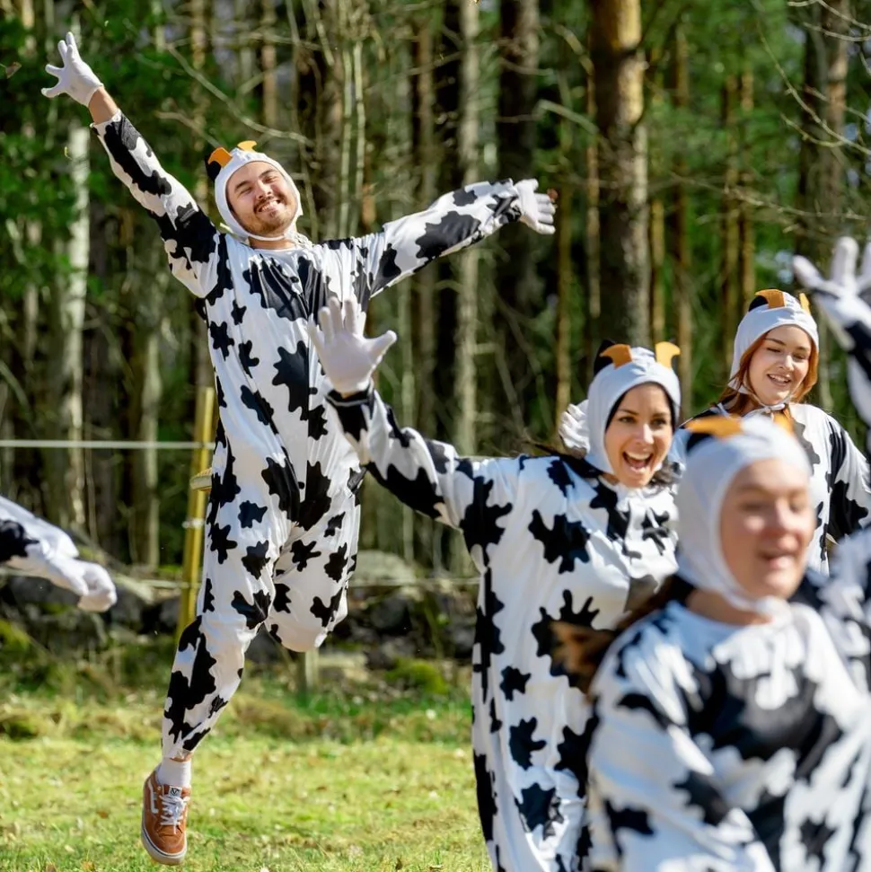 Kossa Budget Maskeraddräkt
