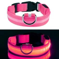 LED Hundhalsband