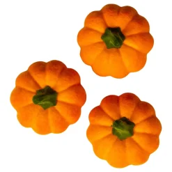 Ludna Pumpor
