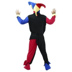 Narr Maskeraddräkt