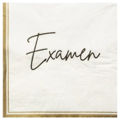 Pappersservetter Examen