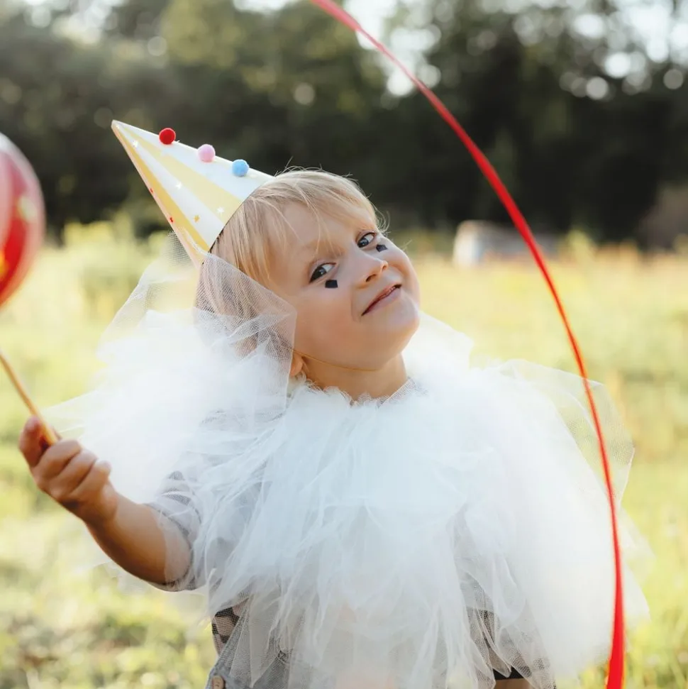 Partyhattar Pom Pom Cirkus