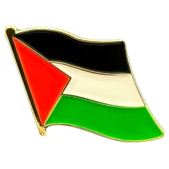Pin Palestinska Flaggan