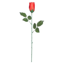 Röd Ros