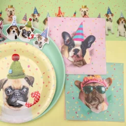 Servetter Party Hund