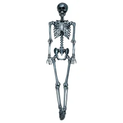 Skelett Silver Prop