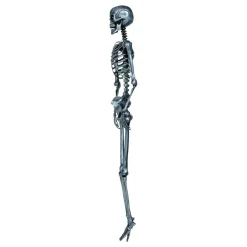 Skelett Silver Prop