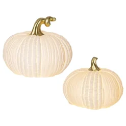 Vit Pumpa LED